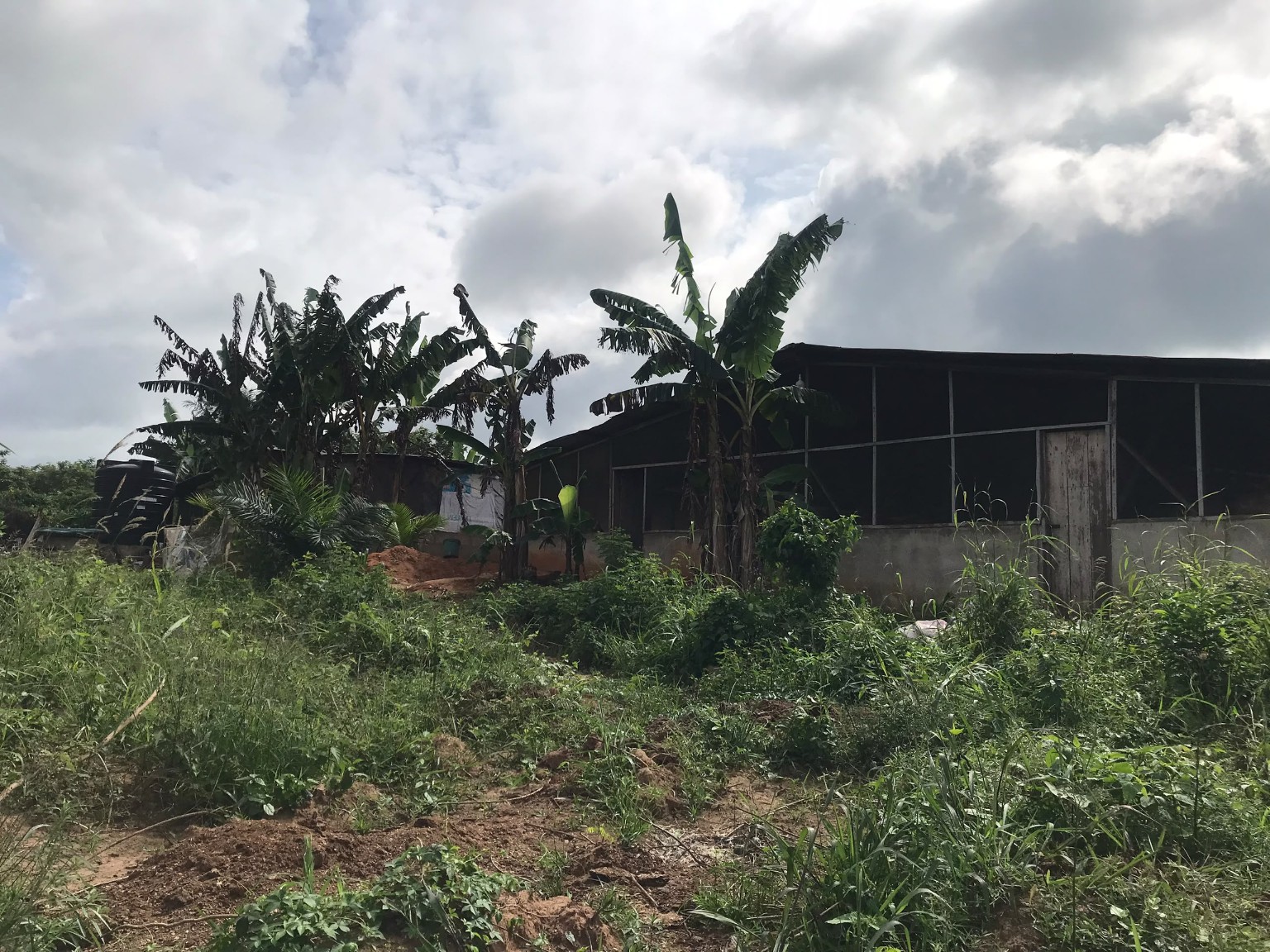Wide view of Central Green Farms facilities